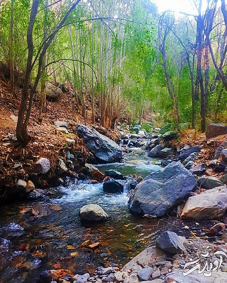 روستای بوژان روستای زیبای بوژان نیشابور,روستای بوژان نیشابور,روستای بوژان